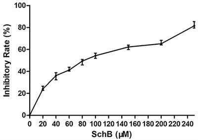 Schisandrin B Induced ROS-Mediated Autophagy and Th1/Th2 Imbalance via Selenoproteins in Hepa1-6 Cells